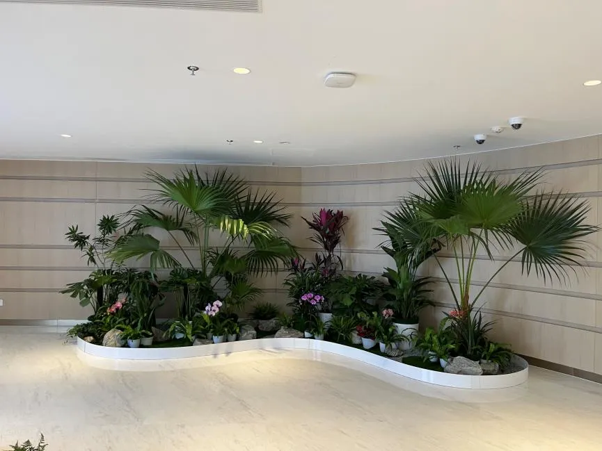 宁波海曙植物出租服务好